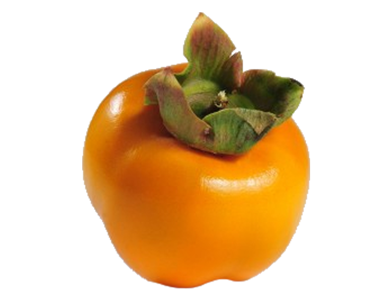 caqui